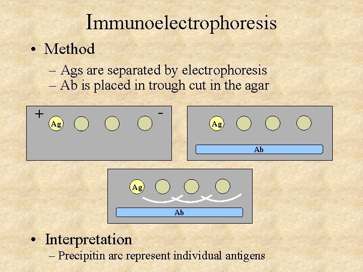 Immunoelectrophoresis • Method – Ags are separated by electrophoresis – Ab is placed in