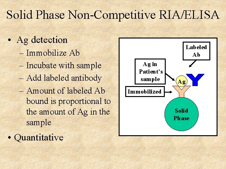 Solid Phase Non-Competitive RIA/ELISA • Ag detection – Immobilize Ab – Incubate with sample