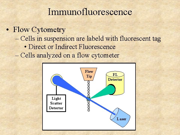 Immunofluorescence • Flow Cytometry – Cells in suspension are labeld with fluorescent tag •