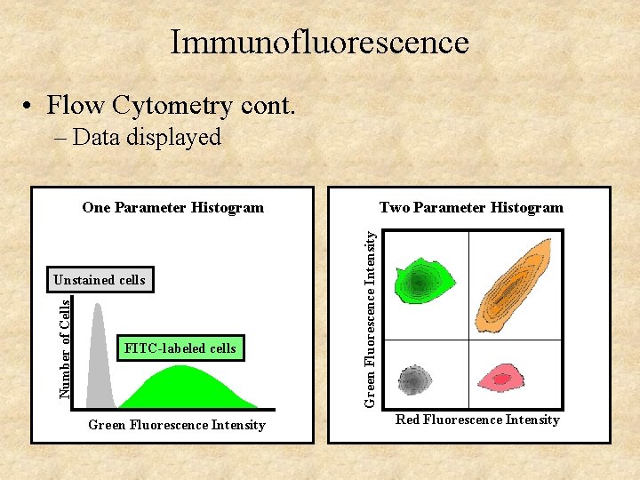 Immunofluorescence • Flow Cytometry cont. – Data displayed Two Parameter Histogram Number of Cells