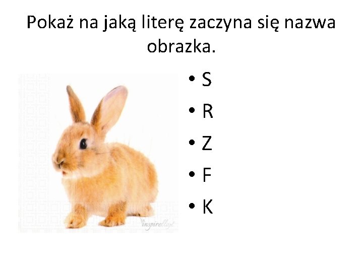 Pokaż na jaką literę zaczyna się nazwa obrazka. • S • R • Z