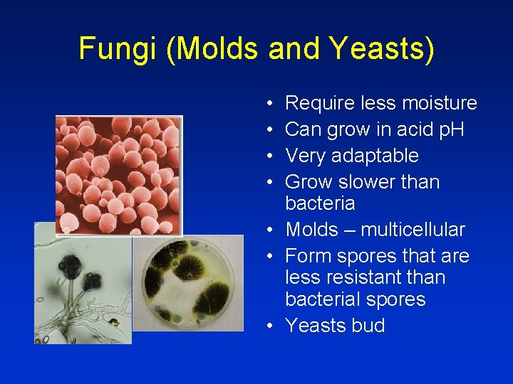 Fungi (Molds and Yeasts) • • Require less moisture Can grow in acid p.