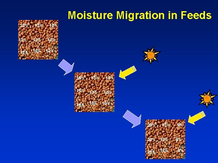 Moisture Migration in Feeds 12% 12% 12% 16% 13% 10% 20% 12% 8% 8%