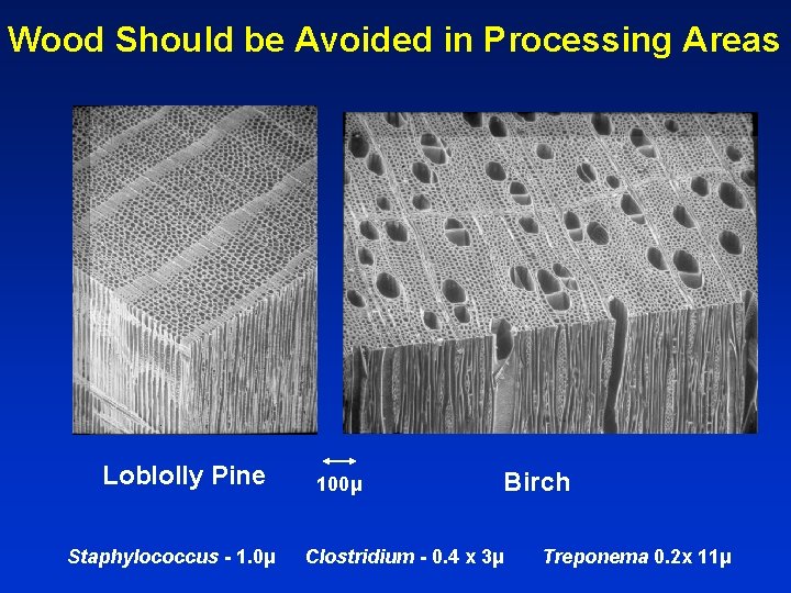 Wood Should be Avoided in Processing Areas Loblolly Pine Staphylococcus - 1. 0μ 100μ