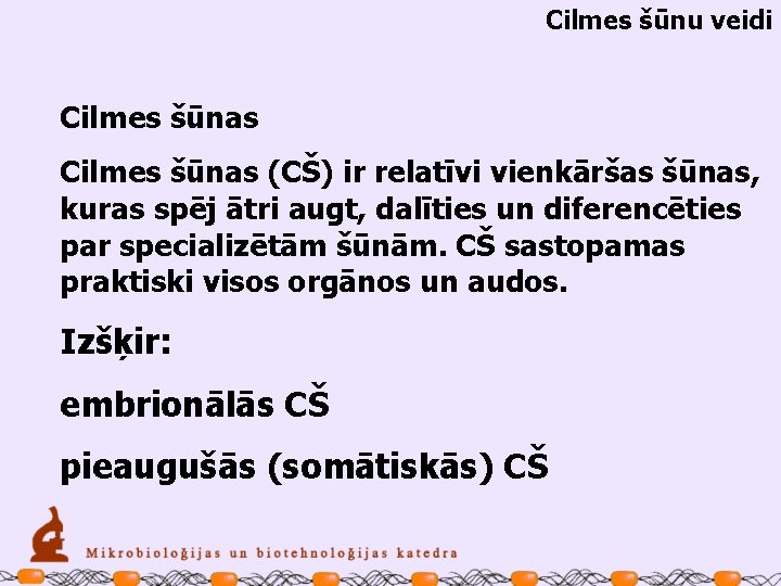 Cilmes šūnu veidi Cilmes šūnas (CŠ) ir relatīvi vienkāršas šūnas, kuras spēj ātri augt,