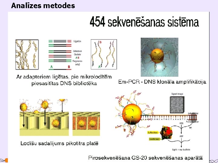 Analīzes metodes 