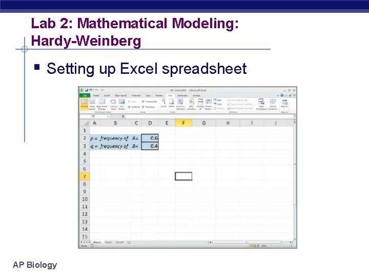 Lab 2: Mathematical Modeling: Hardy-Weinberg § Setting up Excel spreadsheet AP Biology 