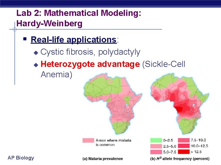 Lab 2: Mathematical Modeling: Hardy-Weinberg § Real-life applications: Cystic fibrosis, polydactyly u Heterozygote advantage