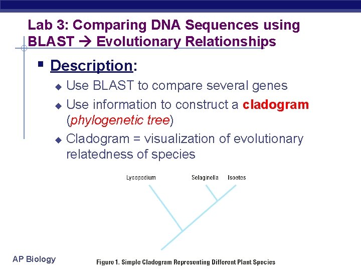 Lab 3: Comparing DNA Sequences using BLAST Evolutionary Relationships § Description: Use BLAST to