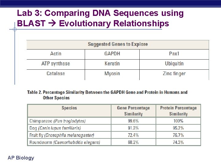 Lab 3: Comparing DNA Sequences using BLAST Evolutionary Relationships AP Biology 