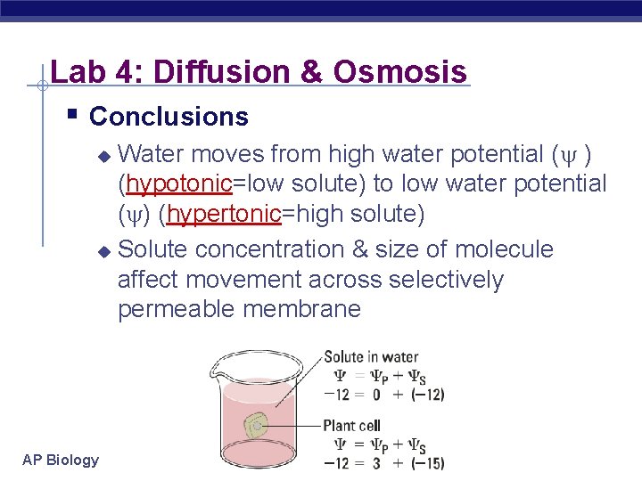 Lab 4: Diffusion & Osmosis § Conclusions Water moves from high water potential (