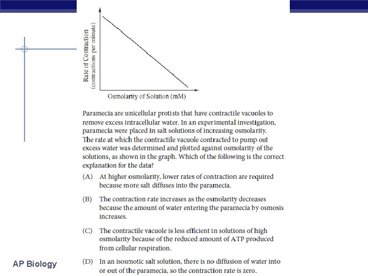 AP Biology 