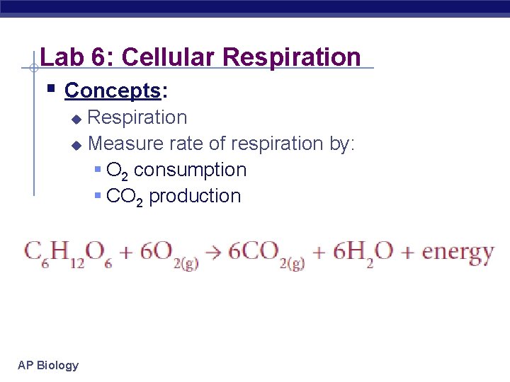 Lab 6: Cellular Respiration § Concepts: Respiration u Measure rate of respiration by: §