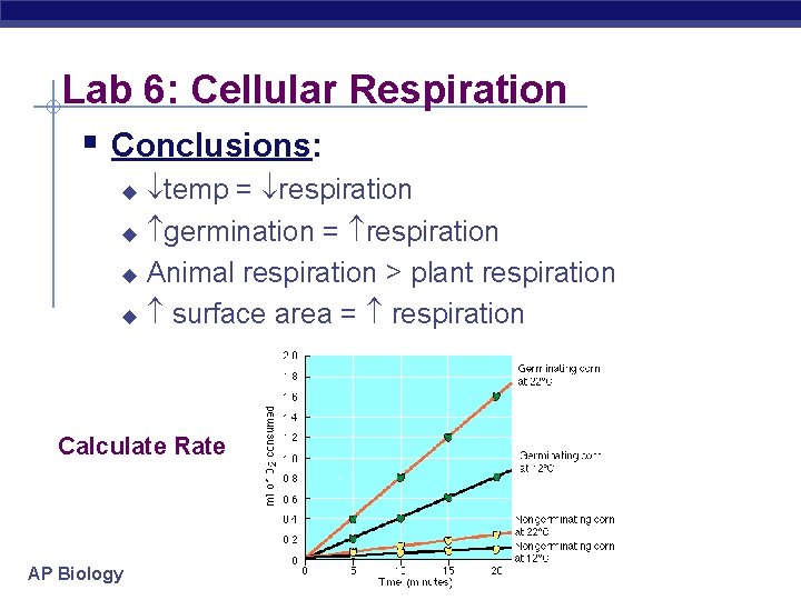 Lab 6: Cellular Respiration § Conclusions: temp = respiration u germination = respiration u