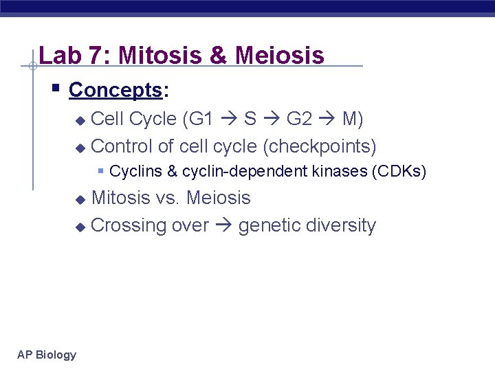 Lab 7: Mitosis & Meiosis § Concepts: Cell Cycle (G 1 S G 2