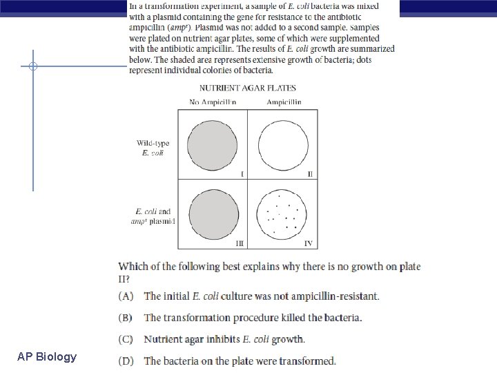 AP Biology 