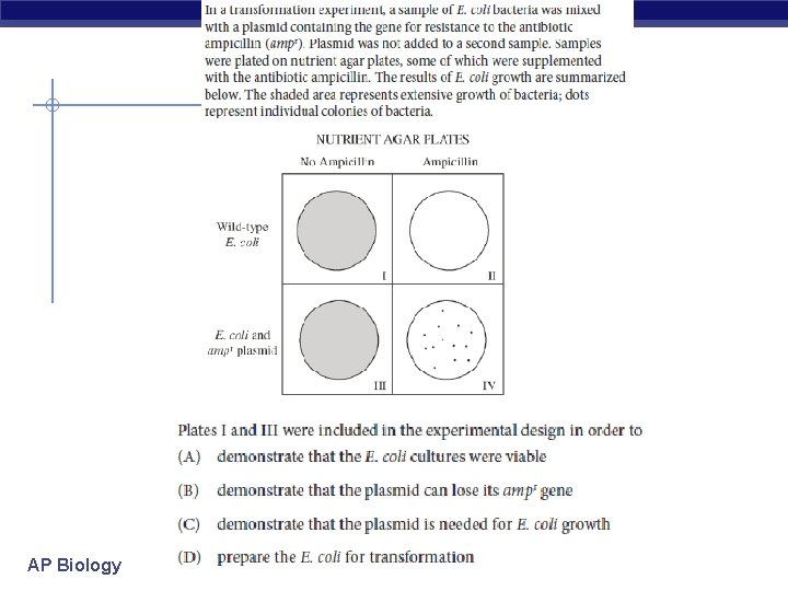 AP Biology 