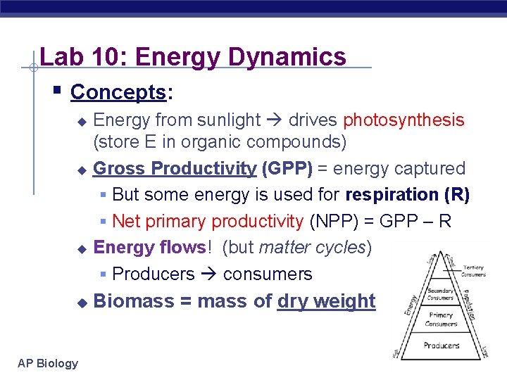 Lab 10: Energy Dynamics § Concepts: Energy from sunlight drives photosynthesis (store E in