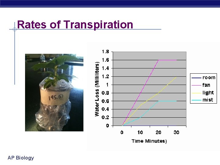 Rates of Transpiration AP Biology 