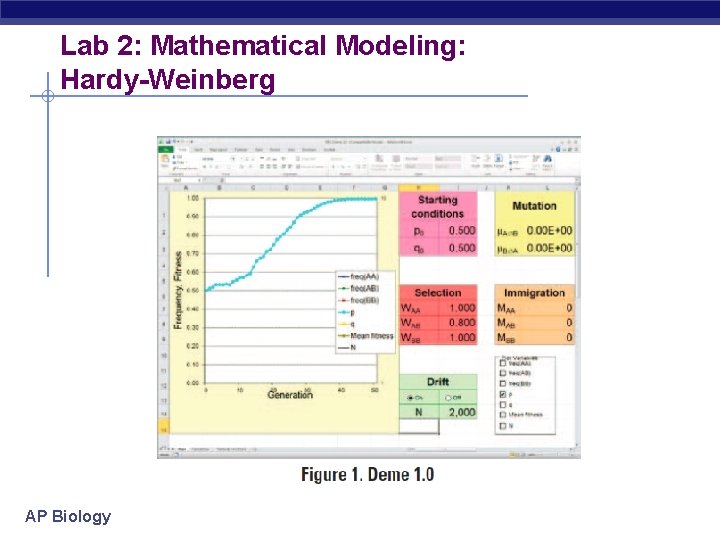 Lab 2: Mathematical Modeling: Hardy-Weinberg AP Biology 