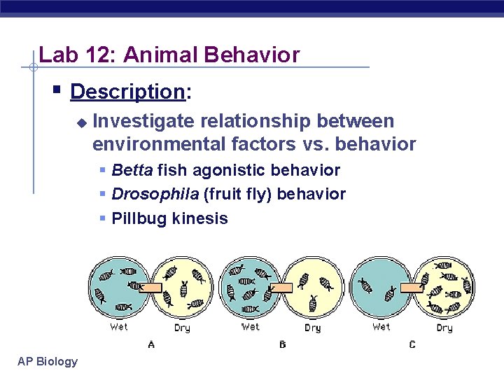 Lab 12: Animal Behavior § Description: u Investigate relationship between environmental factors vs. behavior