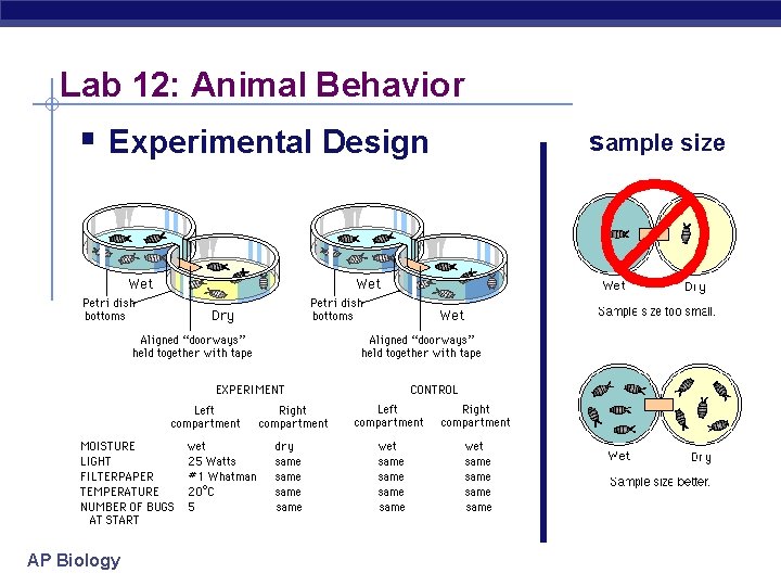 Lab 12: Animal Behavior § Experimental Design AP Biology sample size 
