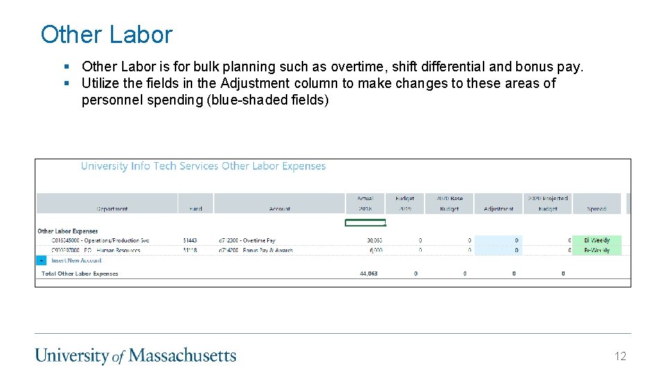 Other Labor § Other Labor is for bulk planning such as overtime, shift differential