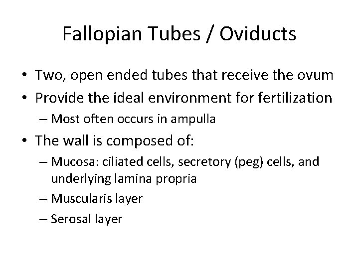 Fallopian Tubes / Oviducts • Two, open ended tubes that receive the ovum •