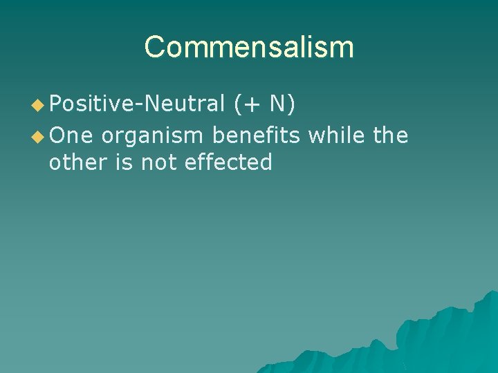 Commensalism u Positive-Neutral (+ N) u One organism benefits while the other is not