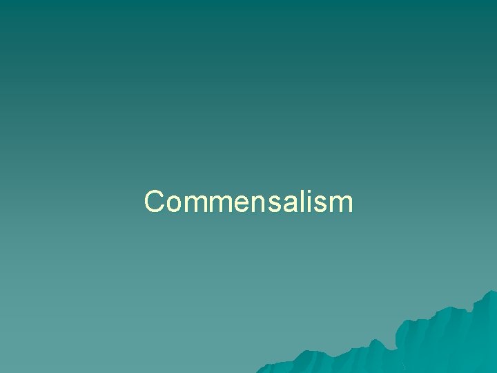 Commensalism 