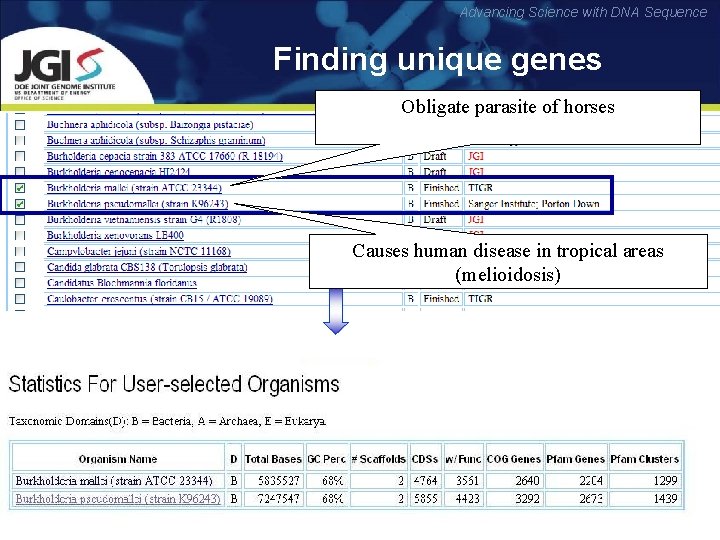 Advancing Science with DNA Sequence Finding unique genes Obligate parasite of horses Causes human