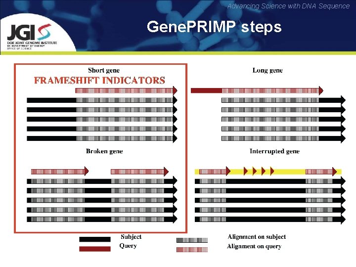 Advancing Science with DNA Sequence Gene. PRIMP steps 