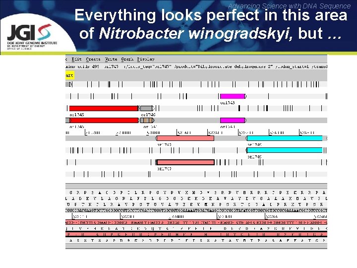 Advancing Science with DNA Sequence Everything looks perfect in this area of Nitrobacter winogradskyi,