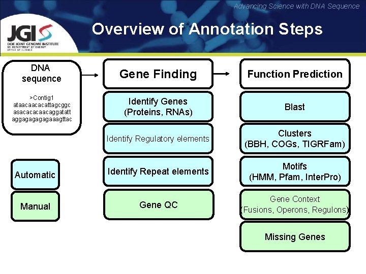 Advancing Science with DNA Sequence Overview of Annotation Steps DNA sequence Gene Finding Function
