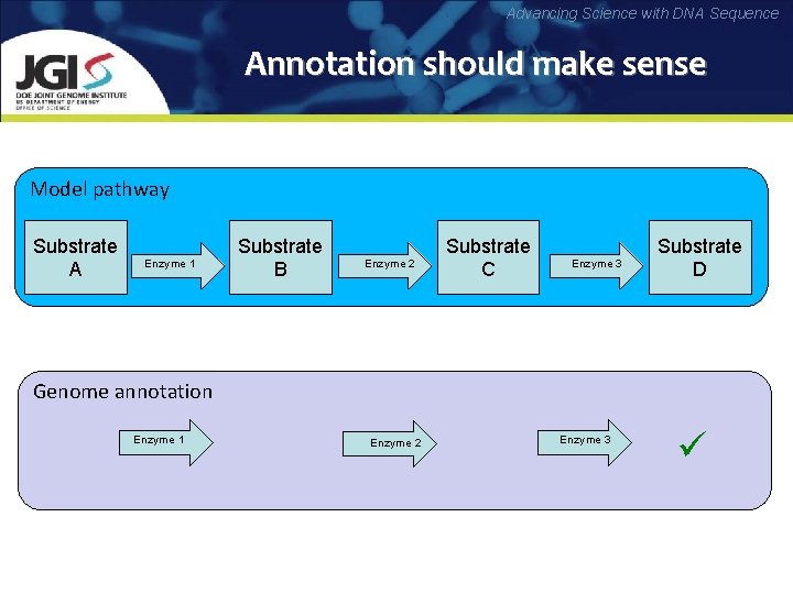 Advancing Science with DNA Sequence Annotation should make sense Model pathway Substrate A Enzyme