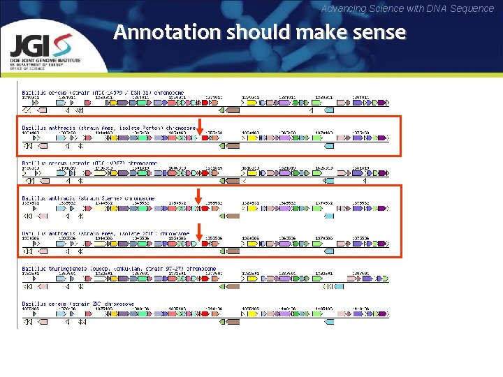 Advancing Science with DNA Sequence Annotation should make sense 