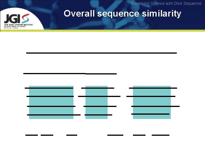 Advancing Science with DNA Sequence Overall sequence similarity 
