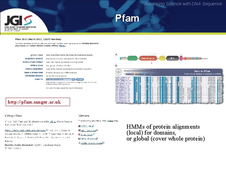 Advancing Science with DNA Sequence Pfam http: //pfam. sanger. ac. uk HMMs of protein