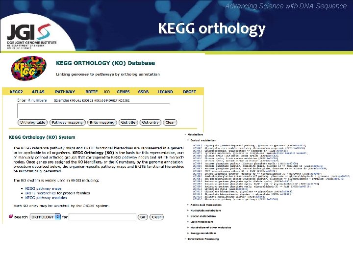 Advancing Science with DNA Sequence KEGG orthology 