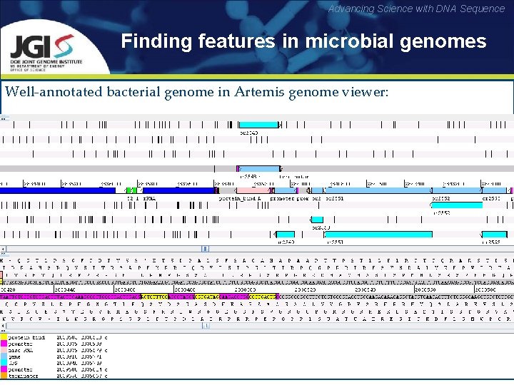 Advancing Science with DNA Sequence Finding features in microbial genomes Well-annotated bacterial genome in