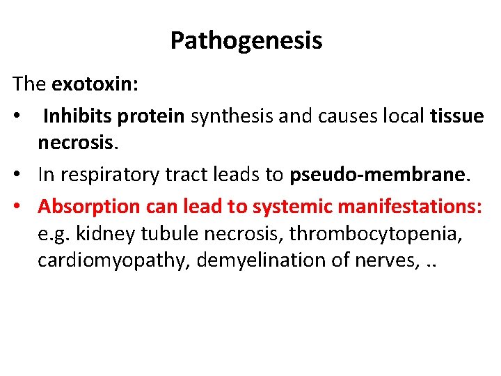 Pathogenesis The exotoxin: • Inhibits protein synthesis and causes local tissue necrosis. • In
