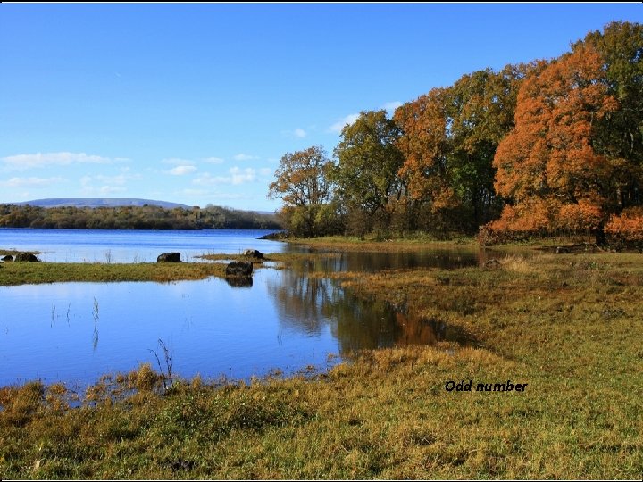 Notes– stanza one • The poets describes the beauty of Coole park in autumn.