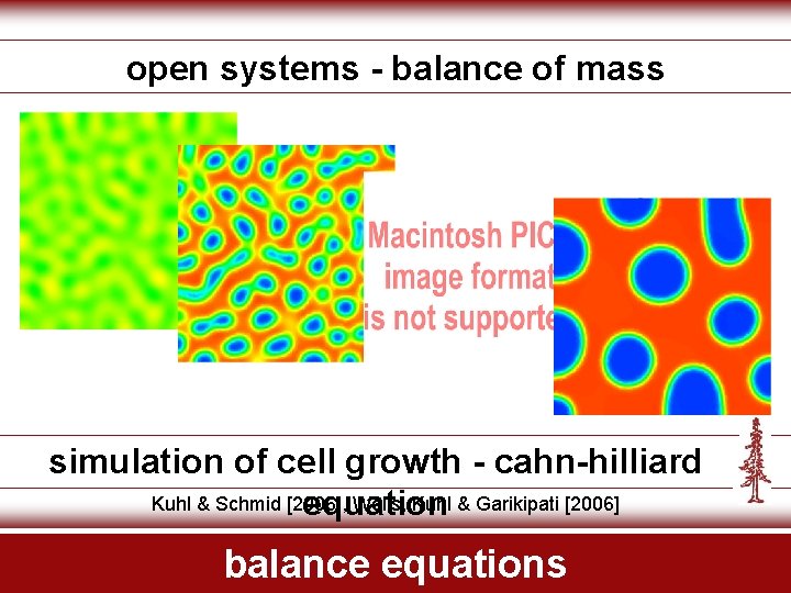 open systems - balance of mass simulation of cell growth - cahn-hilliard Kuhl &