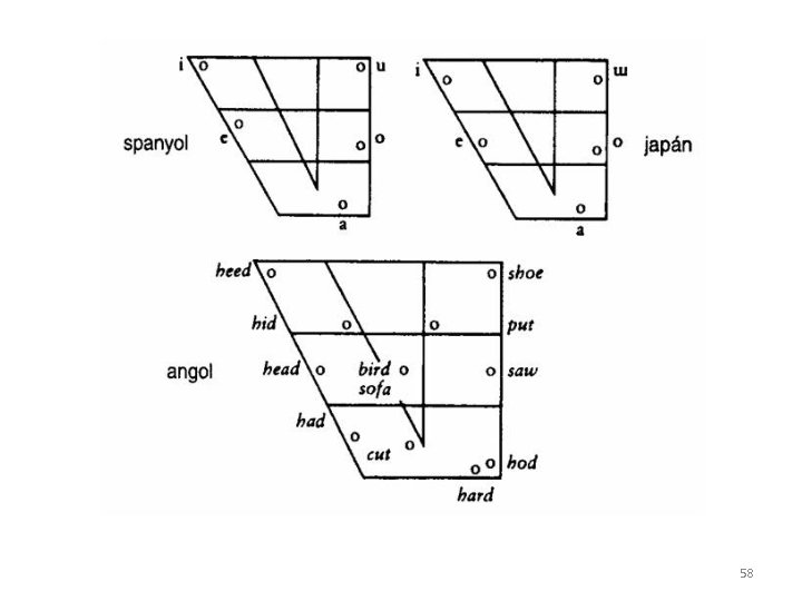 58 58