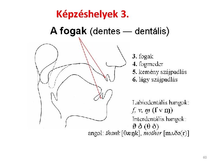 Képzéshelyek 3. 60 