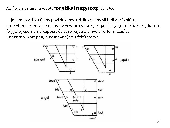Az ábrán az úgynevezett fonetikai négyszög látható, a jellemző artikulációs pozíciók egy kétdimenziós síkbeli