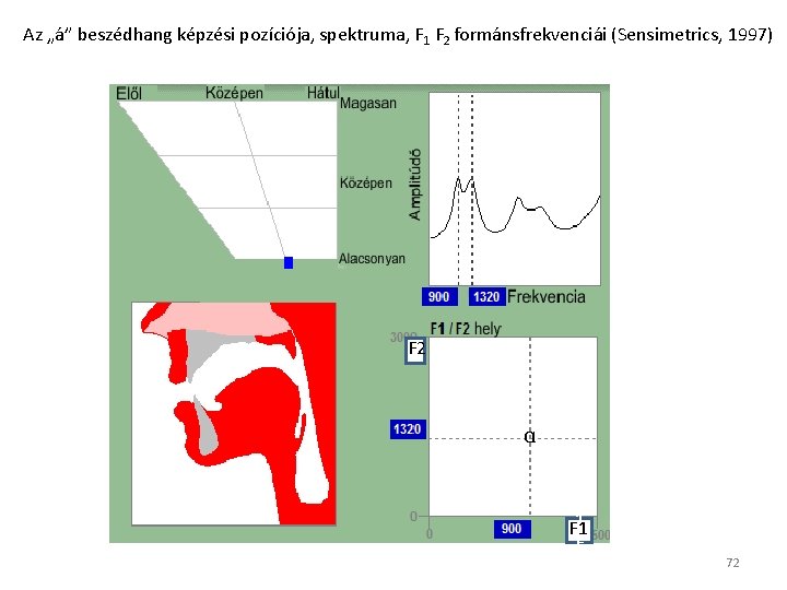 Az „á” beszédhang képzési pozíciója, spektruma, F 1 F 2 formánsfrekvenciái (Sensimetrics, 1997) F Az „á” beszédhang képzési pozíciója, spektruma, F 1 F 2 formánsfrekvenciái (Sensimetrics, 1997) F