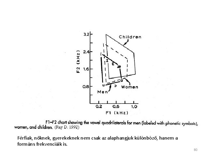 Férfiak, nőknek, gyerekeknek nem csak az alaphangjuk különböző, hanem a formáns frekvenciáik is. 80 Férfiak, nőknek, gyerekeknek nem csak az alaphangjuk különböző, hanem a formáns frekvenciáik is. 80