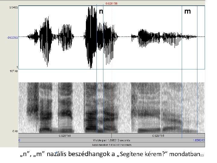 n m „n”, „m” nazális beszédhangok a „Segítene kérem? ” mondatban 89 