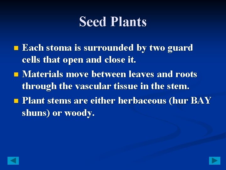 Seed Plants Each stoma is surrounded by two guard cells that open and close